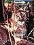 Florida Panther National Wi...