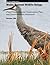 Madoc National Wildlife Ref...