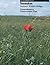 Tewaukon National Wildlife ...