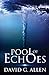 Pool of Echoes: An Inspirational Thriller