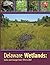 Deleware Wetlands: Status a...