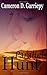 Parallel Hunt (Children of the Parallels)