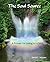 The Soul Source - 2nd Ed 031615
