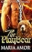 The PlayBear (PlayShifters)