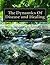 The Dynamics Of Disease and Healing: The Role That Perception and Beliefs Play In Our Health and Wellness