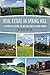 Real Estate In Spring Hill:...