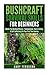 Bushcraft Survival Skills for Beginners: Master The Bushcraft Basics - Fundamentals, Tools & Safety, & Self-Sufficiency For Your First Time Journey ... Backpacking, Survival Skills, Wilderness)