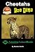 Cheetahs For Kids