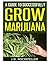 A Guide to Successfully Grow Marijuana