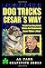 Dog Tricks Cesar's Way!: Te...