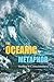 The Oceanic Metaphor: Meaning Equivalence (M.E.), Probability Theory, and the Virtual Simulation Hypothesis of Consciousness