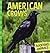 American Crows