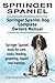 Springer Spaniel. Springer Spaniel Dog Complete Owners Manual. Springer Spaniel book for care, costs, feeding, grooming, health and training.