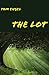 The Lot: a Teen Boy's Adventure