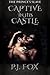 Captive In His Castle (The Prince's Slave, #1)