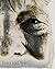 David Bailey: Tears and Tears