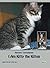 I Am Kitty the Kitten: Photo Book