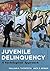Juvenile Delinquency: A Sociological Approach