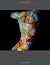 The Abstract Nude: A Photog...