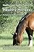 Healthy Land, Healthy Pasture, Healthy Horses (black and whit... by Jane Myers