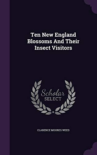 Ten New England Blossoms And Their Insect Visitors (Hardcover)