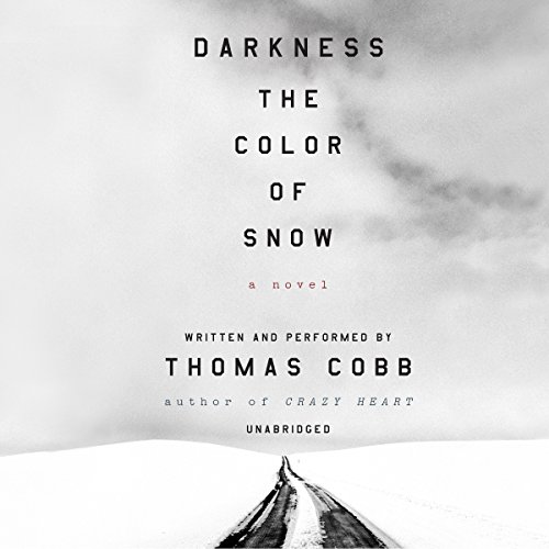Darkness the Color of Snow: A Novel