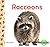 Raccoons (Everyday Animals)