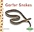 Garter Snakes (Everyday Animals)