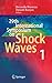 29th International Symposium on Shock Waves 1 by Riccardo Bonazza