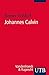 Johannes Calvin: Leben, Werk, Wirkung (German Edition)