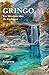 Gringo: Ein Märchen über die Evolution (German Edition)