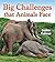 Big Challenges That Animals Face (Big Science Ideas)