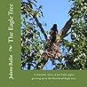 The Eagle Tree: A dramatic story of two baby eagles growing up in the Riverbend nest tree.