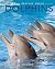 Dolphins by Kay de Silva