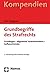 Grundbegriffe Des Strafrechts: Grundlagen - Allgemeine Verbrechenslehre - Aufbauschemata (Recht - Kompendien) (German Edition)