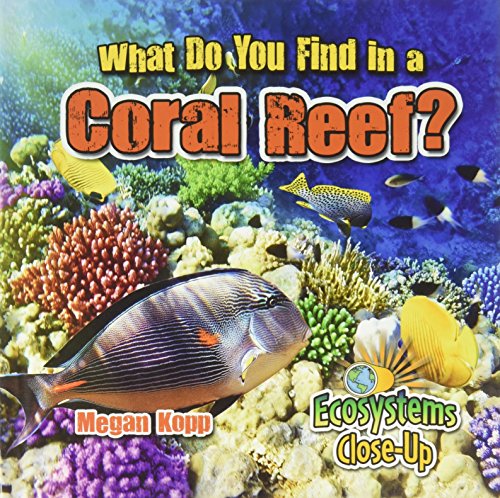 What Do You Find in a Coral Reef? (Ecosystems Close-Up)