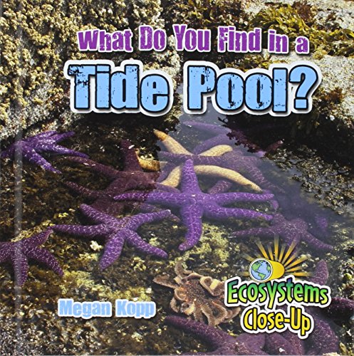What Do You Find in a Tide Pool? (Ecosystems Close-Up)