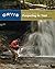 Orvis Guide to Prospecting for Trout, New and Revised: How to Catch Fish When There's No Hatch to Match