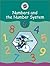 Cambridge Mathematics Direct 6 Numbers and the Number System Teacher's book