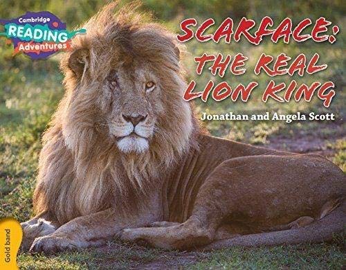 Cambridge Reading Adventures Scarface: The Real Lion King Gold Band (Paperback)