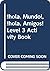 ¡hola, Mundo!, ¡hola, Amigos! Level 3 Activity Book (Spanish Edition)