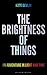 The Brightness of Things: An Adventure in Light and Time