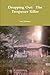 Dropping Out by Ned Johnson