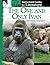 An Instructional Guide for Literature: The One and Only Ivan (Great Works)