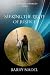 Seeking the Light of Justice by Barry Nadel Seeking the Light of Justice by Barry Nadel