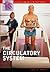 The Circulatory System