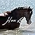 Horse Lore the Traditional ...