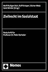 Zivilrecht Im Sozialstaat: Festschrift Fur Professor Dr. Peter Derleder (Correspondance De Fenelon) (German Edition)