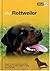 The Rottweiler: A Guide to ...