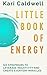 Little Book of Energy: Six Strategies to Leverage Negativity & Create Everyday Miracles
